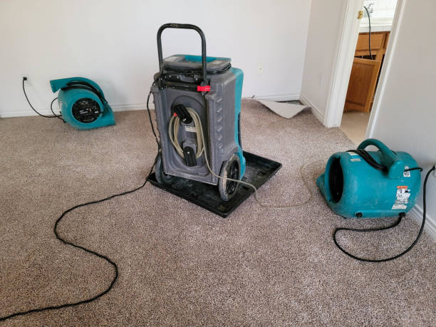 Best Flood damage cleanup  in Jacinto City, TX