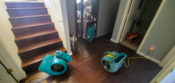 Best Water damage repair service  in Jacinto City, TX