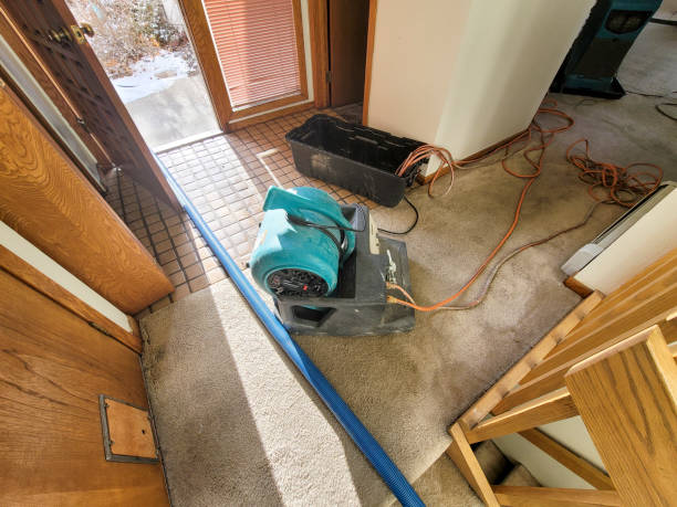 Best Water damage restoration near me  in Jacinto City, TX