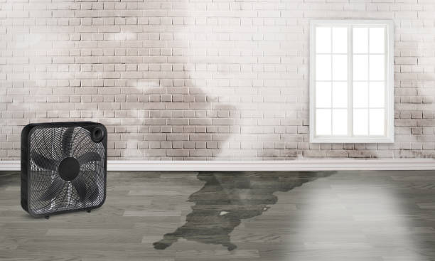 Best Fire Damage Restoration  in Jacinto City, TX