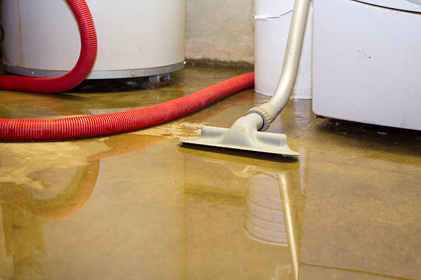  Jacinto City, TX Water damage restoration Pros