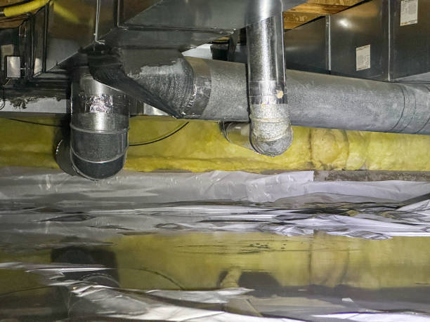 Best 24-hour water damage restoration  in Jacinto City, TX