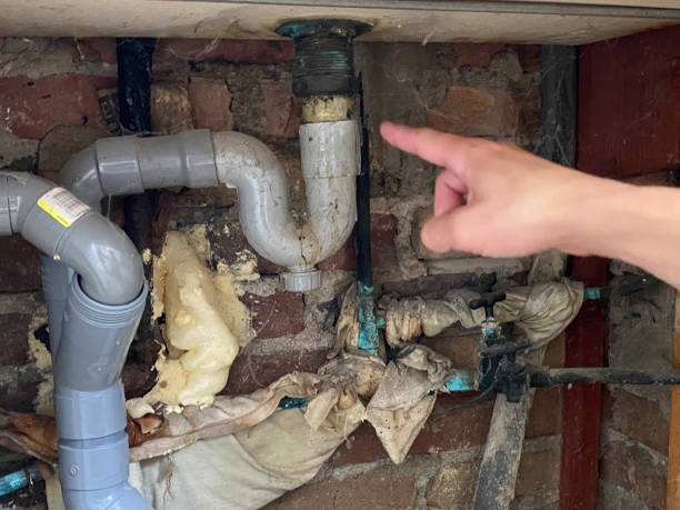 Best Water damage restoration near me  in Jacinto City, TX