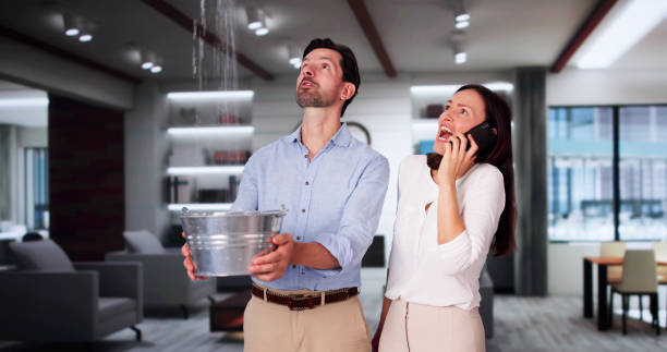 Best Professional water damage repair  in Jacinto City, TX